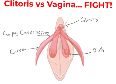 What s The Difference Between Vaginal And Clitoral Orgasms Lioness