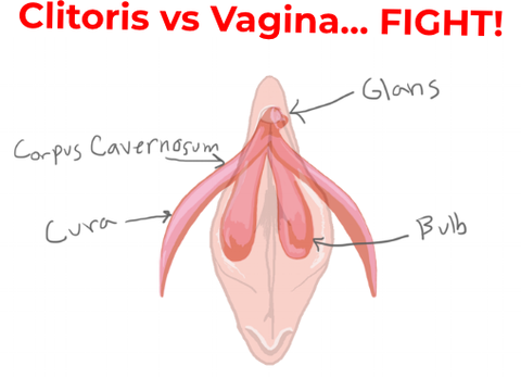 What's The Difference Between Vaginal And Clitoral Orgasms?