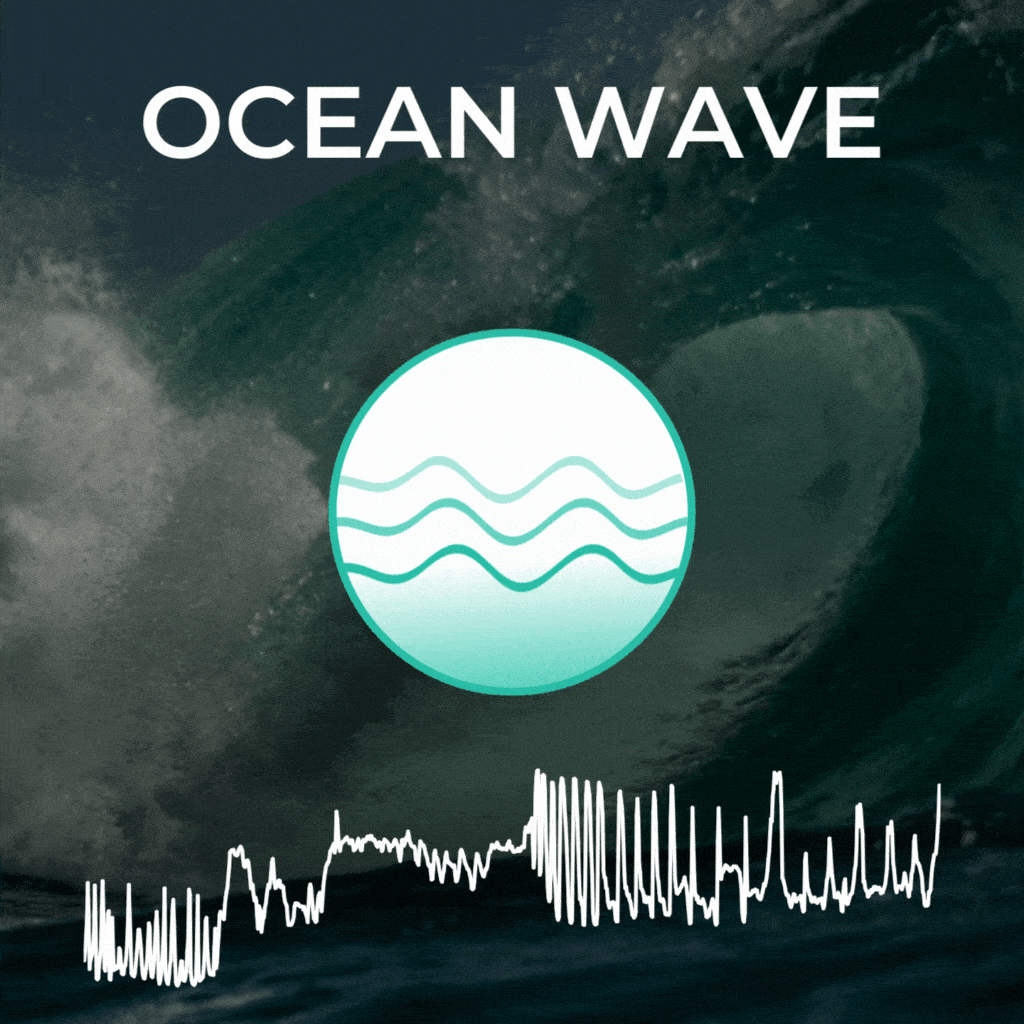 What does an orgasm look like? Lioness can show you.