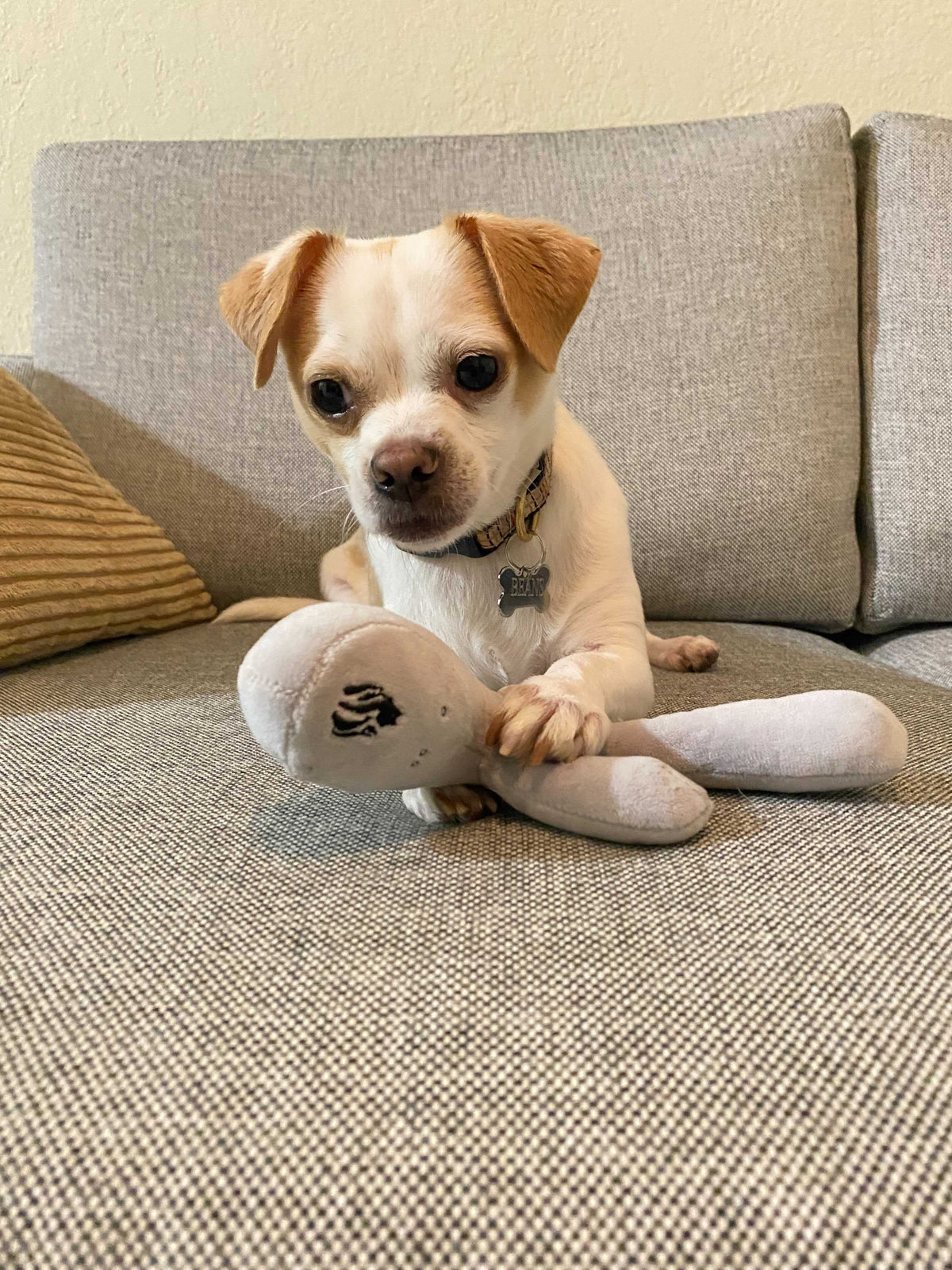 Lioness Dog Toy