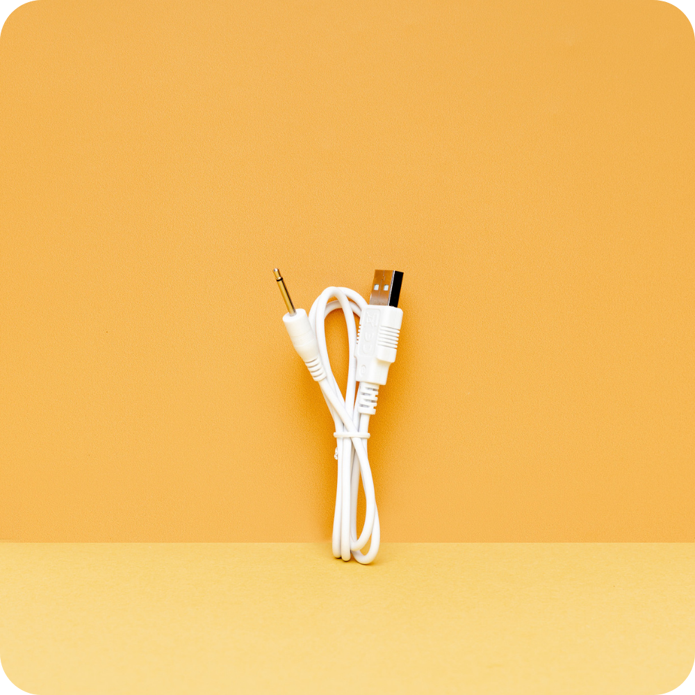 Charger Cable for Lioness Vibrator 1.0 and 2.0 Charger Cable for Lioness Vibrator 1.0 and 2.0