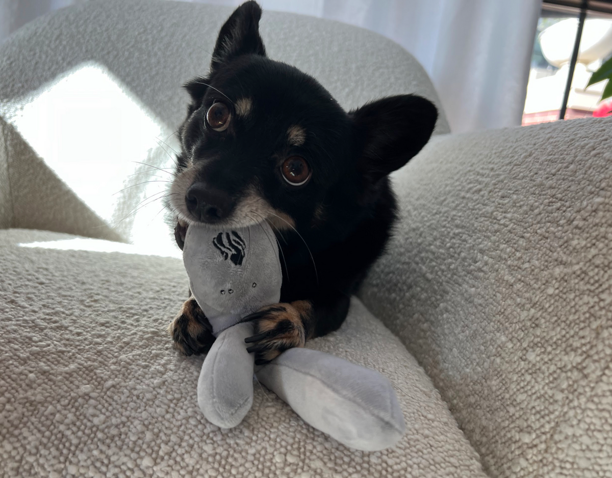 Lioness Dog Toy