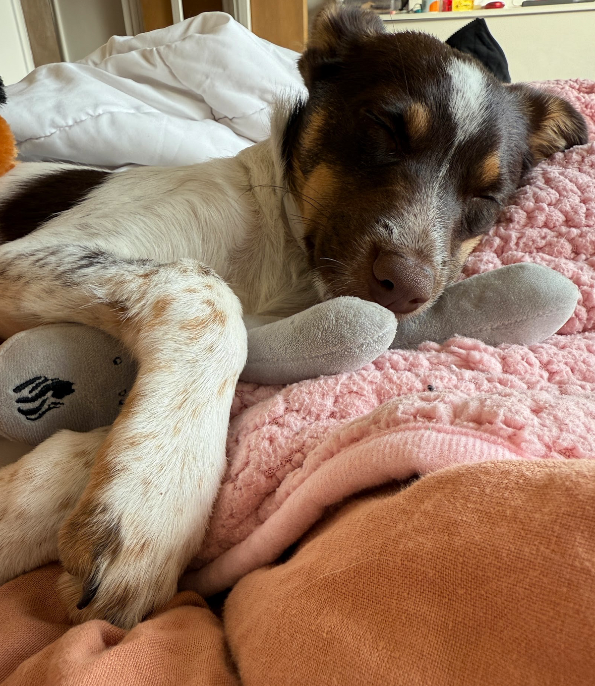 Lioness Dog Toy