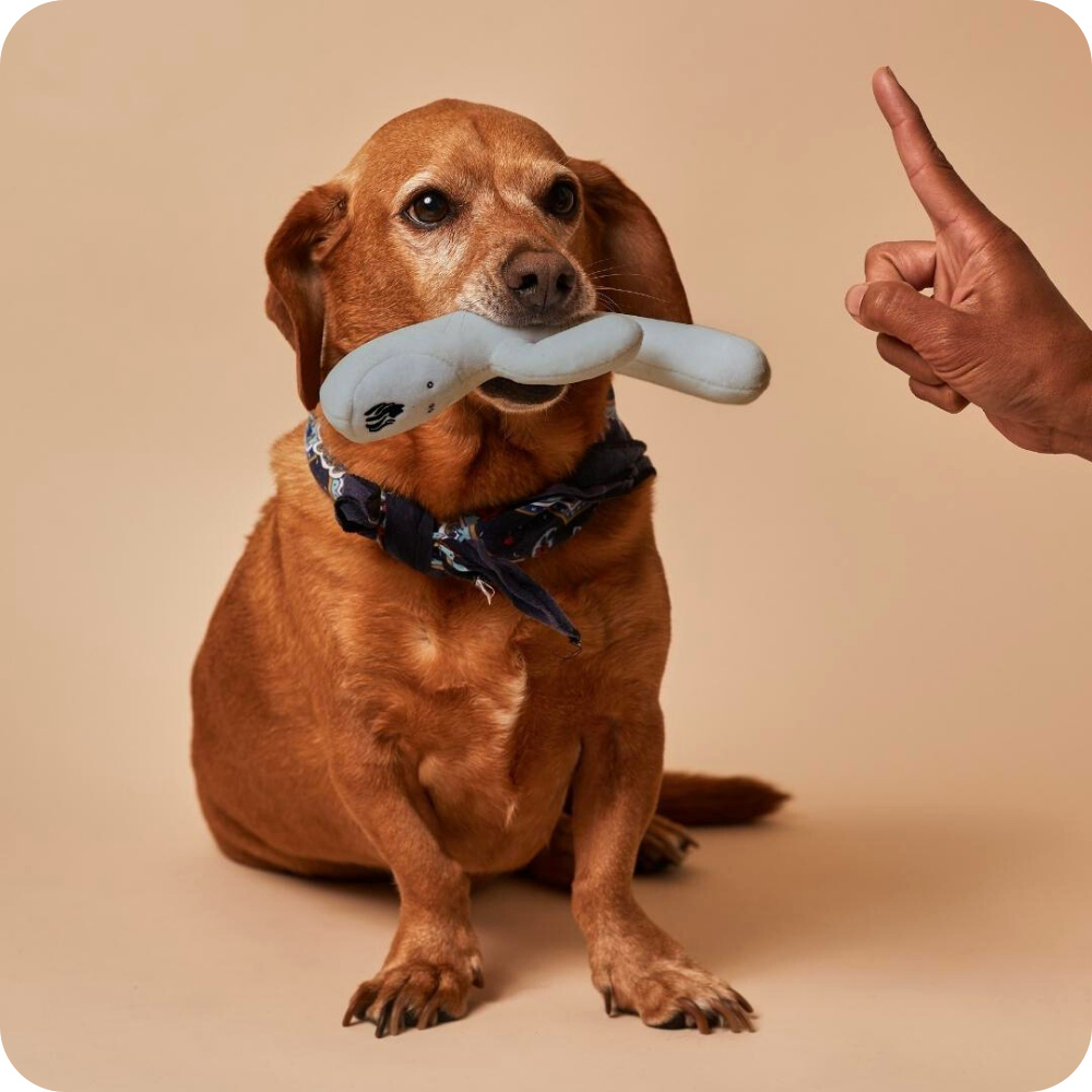 Lioness Dog Toy: Unique Funny Dog Toy With Squeaker Lioness Dog Toy: Unique Funny Dog Toy With Squeaker