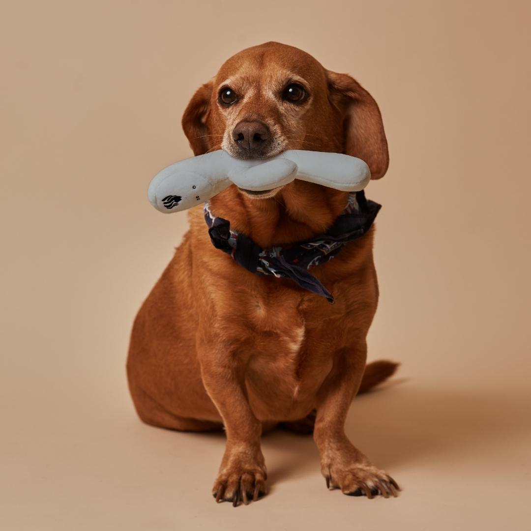 Lioness Dog Toy: Unique Funny Dog Toy With Squeaker Lioness Dog Toy: Unique Funny Dog Toy With Squeaker