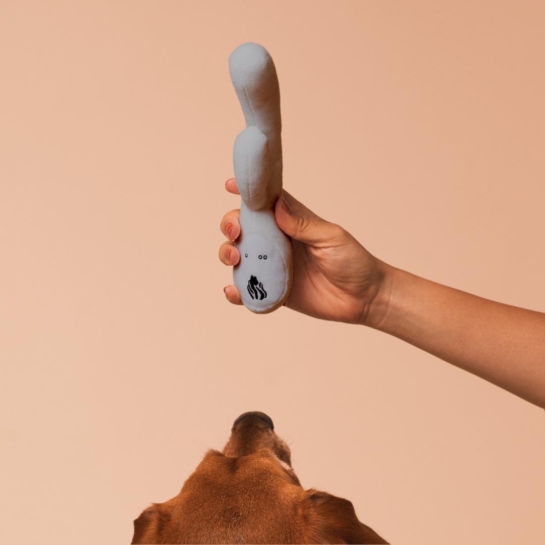 Lioness Vibrator + Dog Toy Bundle Lioness Vibrator + Dog Toy Bundle