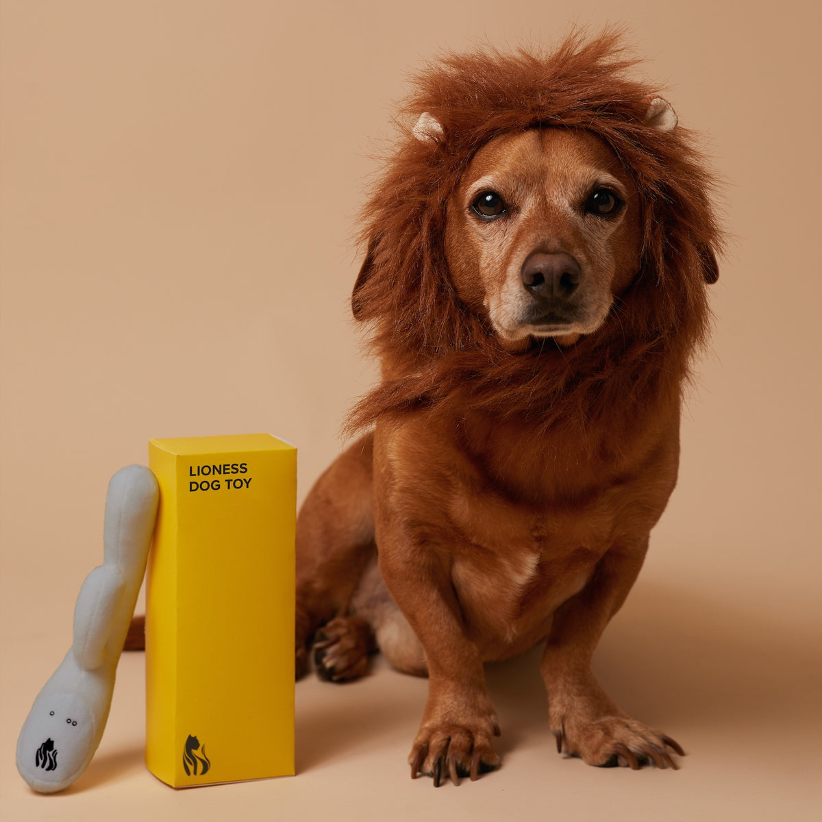 Lioness Dog Toy